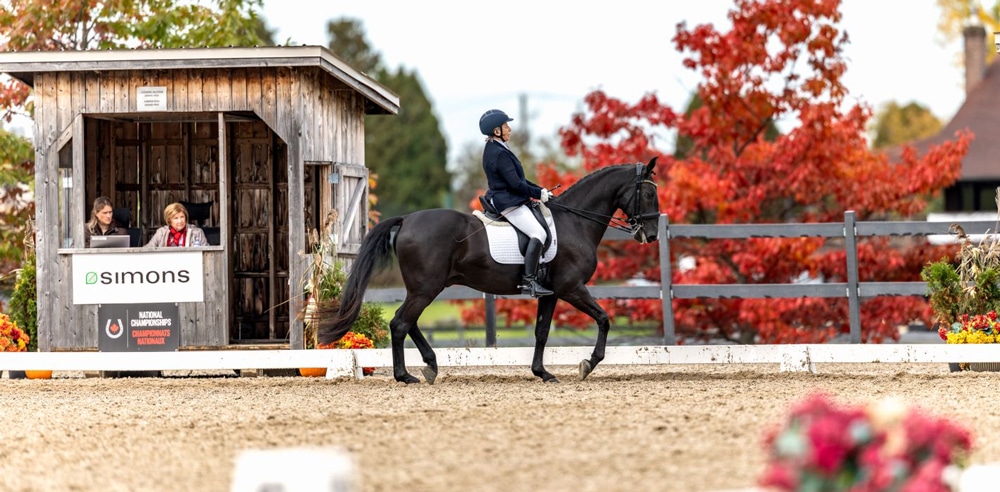 A para dressage rider on a dark bay horse riding a test.