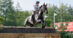 A woman jumping a dark bay horse over a cross-country fence.