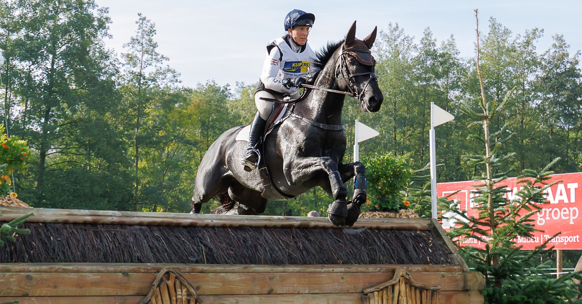 A woman jumping a dark bay horse over a cross-country fence.