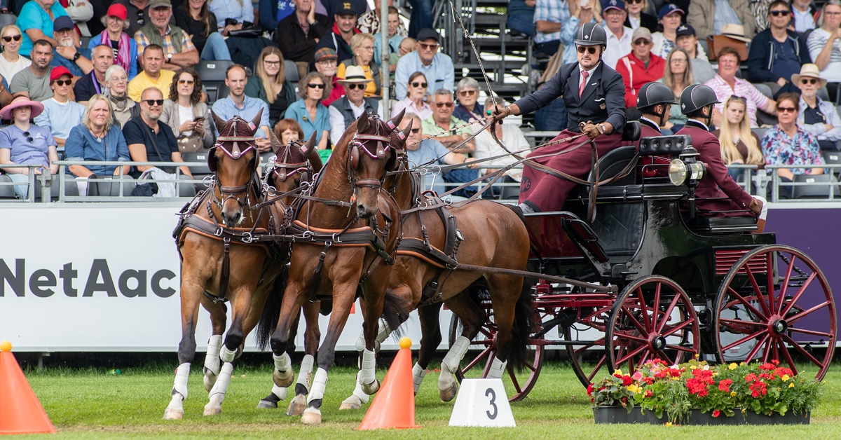 A man driving a four-in-hand at Aachen.