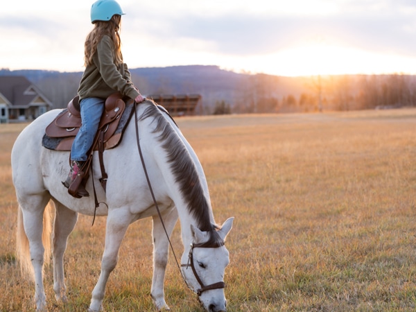 A young girl on a grey horse, watching the sun set.