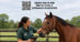A veterinarian examining a horse in a field.
