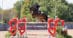 A man jumping a bay horse over a heart fence.