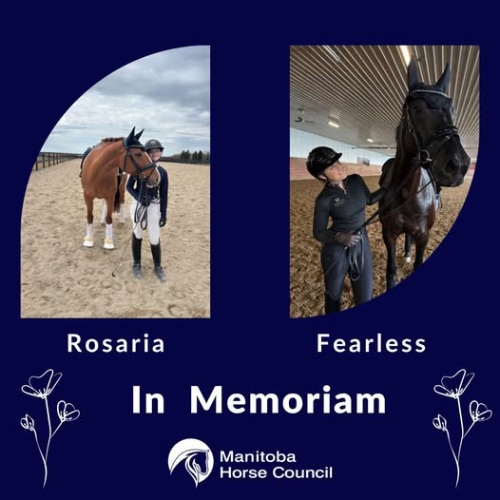 An in memoriam image of two horses.