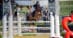 A woman jumping a chestnut horse over a fence in New York.