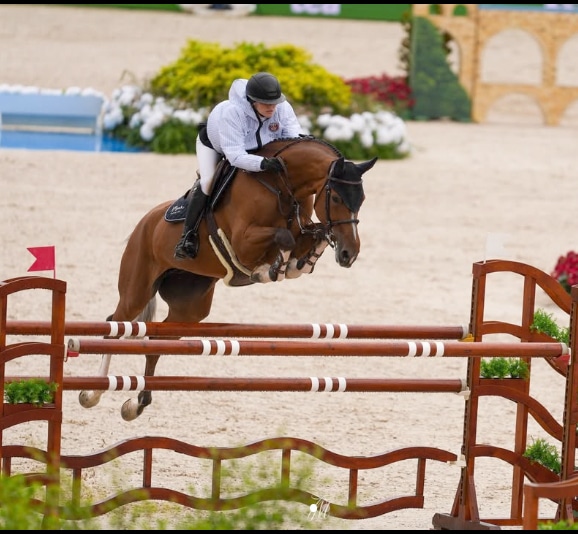 A woman jumping a chestnut horse over a fence in Spain.