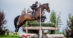 A woman jumping a bay horse over a cross-country fence.