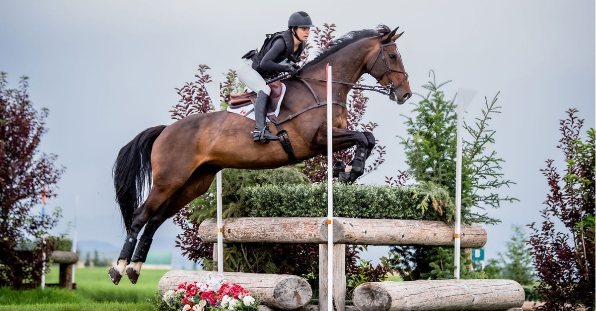 A woman jumping a bay horse over a cross-country fence.
