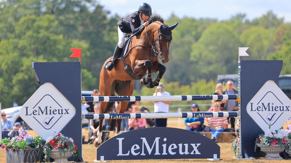 A man jumping a bay horse over a show jumping fence.