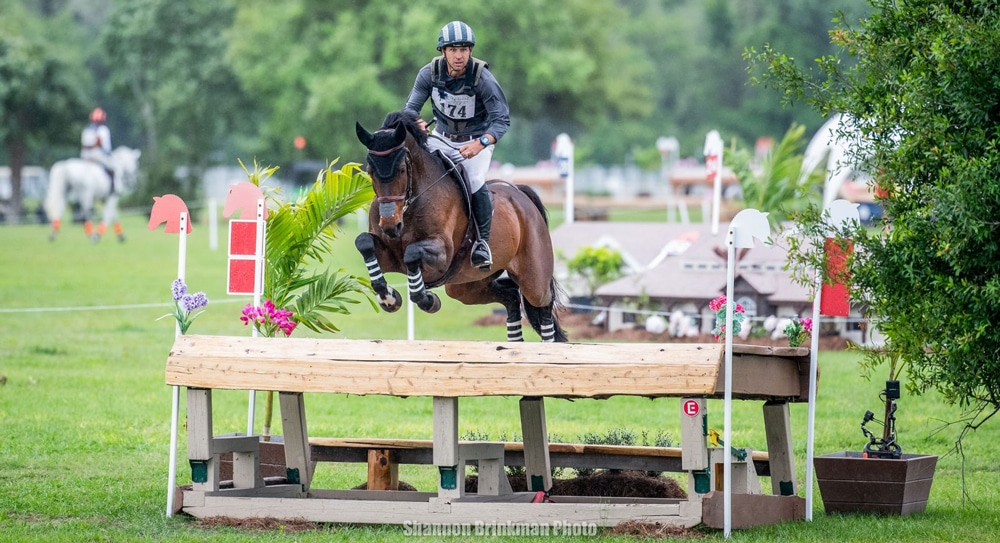 A man jumping a dark bay horse over a cross-country fence.