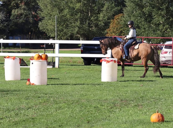 A woman on a chestnut horse on a WE course.