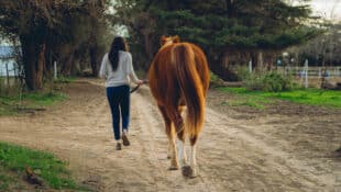 A woman leading a chestnut horse down a lane on a farm.