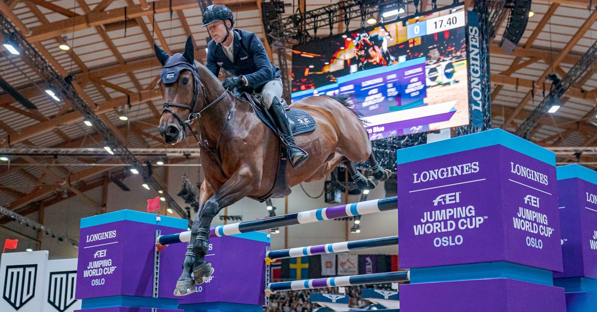 A man jumping a bay horse over a fence in Oslo.