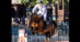 A man jumping a bay horse over a fence at Tryon.
