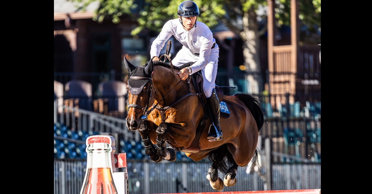 A man jumping a bay horse over a fence at Tryon.