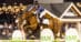 A woman jumping a chestnut horse over a fence at Tryon.