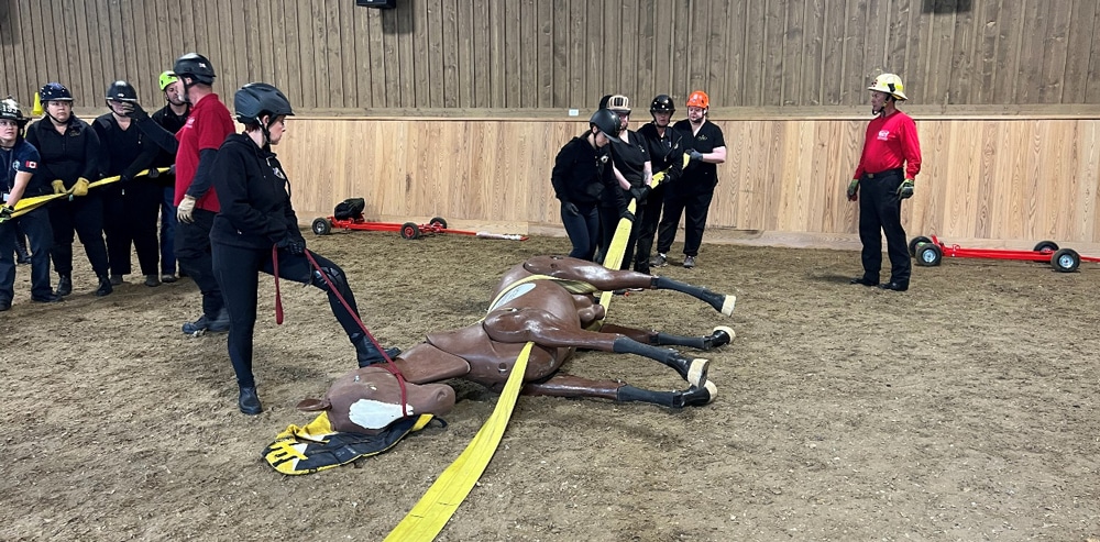 Rescues demonstrating a forward pull on a dummy horse.