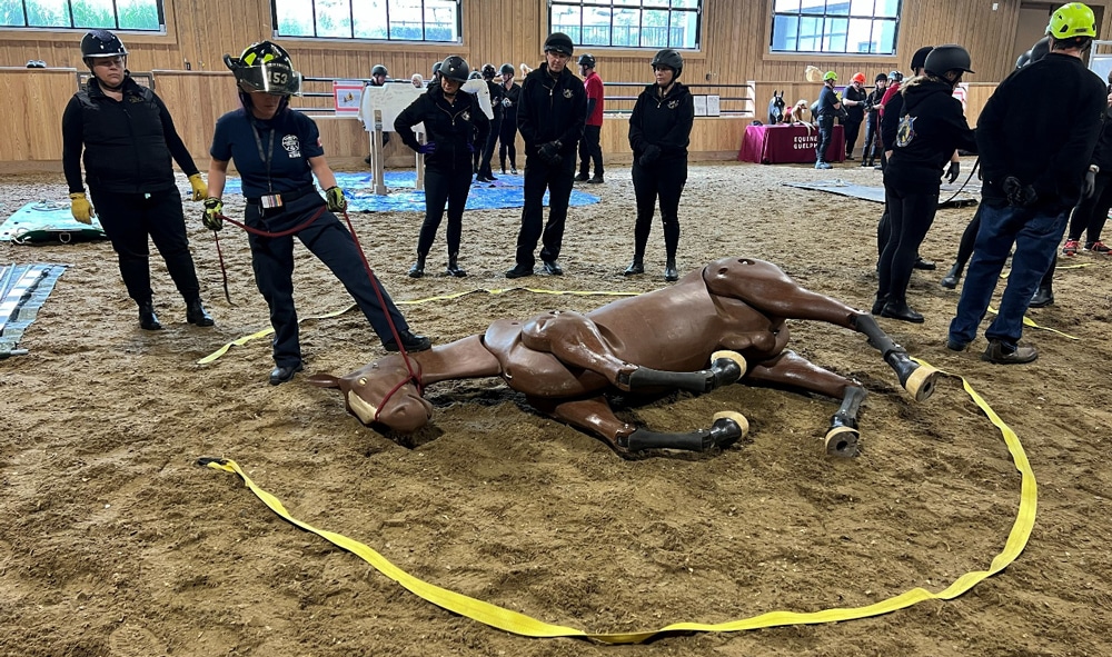 A person with a rope around the neck of a dummy horse.