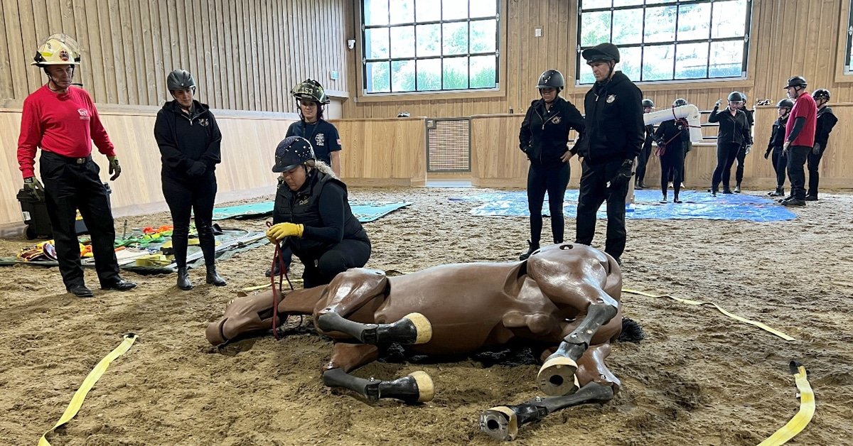 A group of people in an arena with a dummy horse.