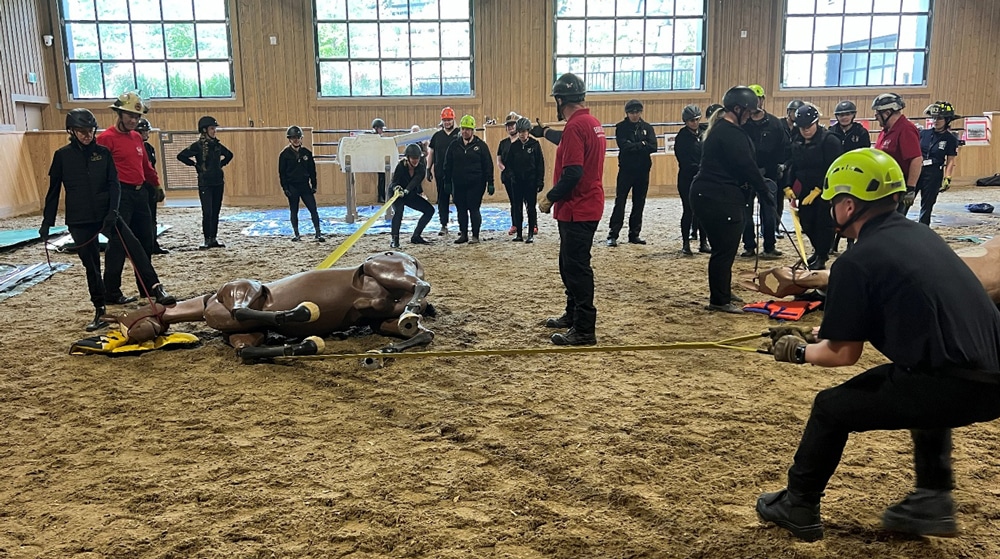 People pulling a dummy horse with straps.