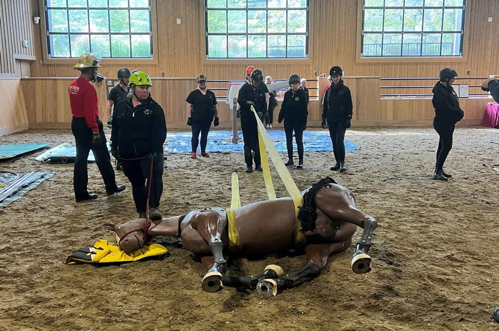 People pulling a dummy horse with straps.