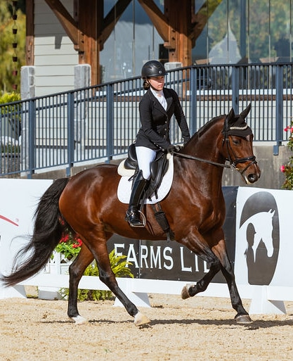 A young woman riding a bay dressage horse during a test.