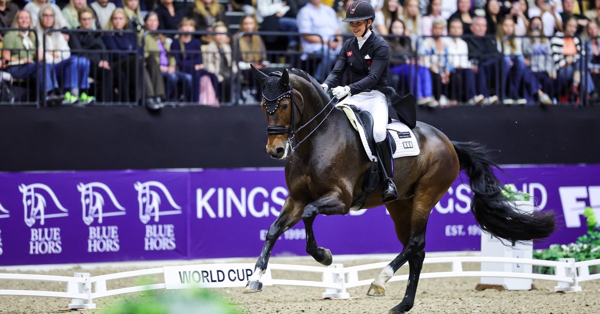 A woman riding a dark bay dressage horse during a test in Denmark.