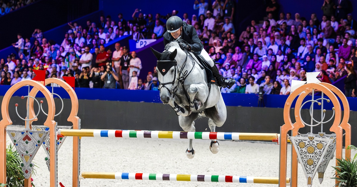 A man jumping a grey horse over a fence in Morocco.