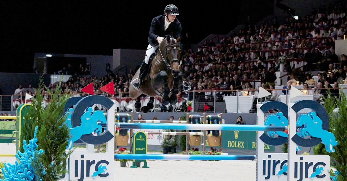 A man jumping a dark bay horse over a fence.