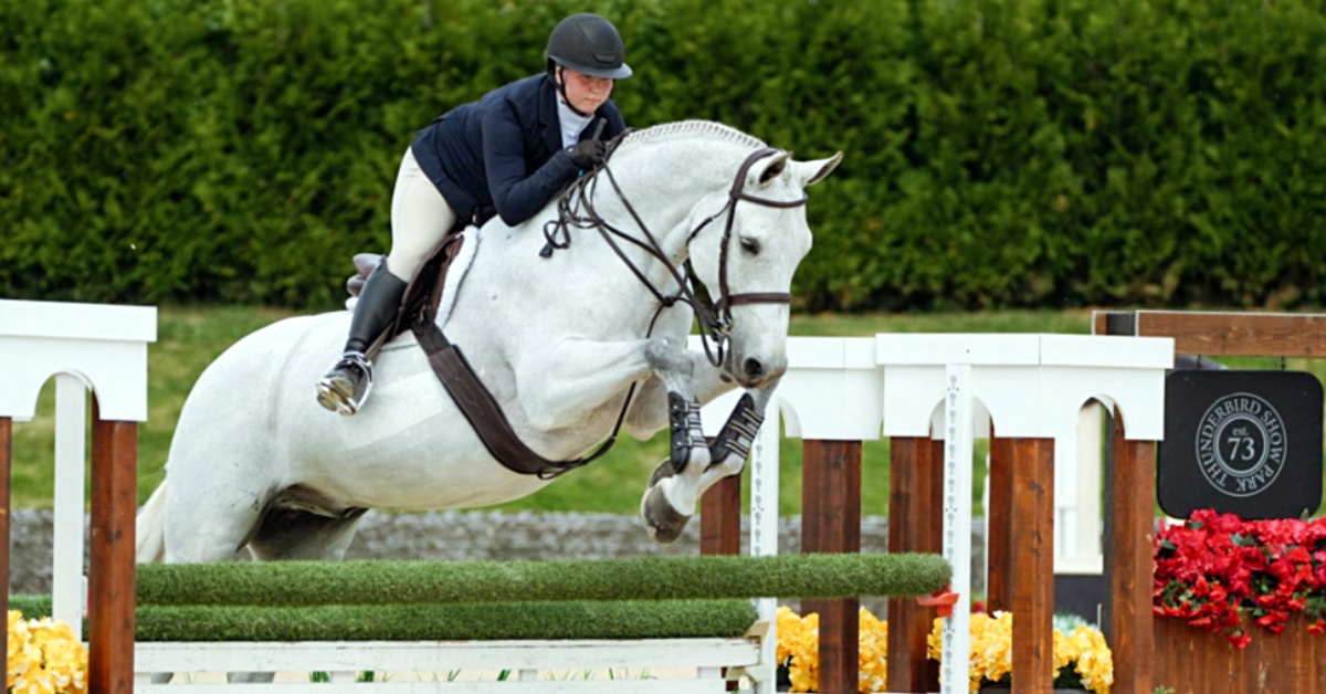 A teen girl jumping a grey horse over a hunter fence.