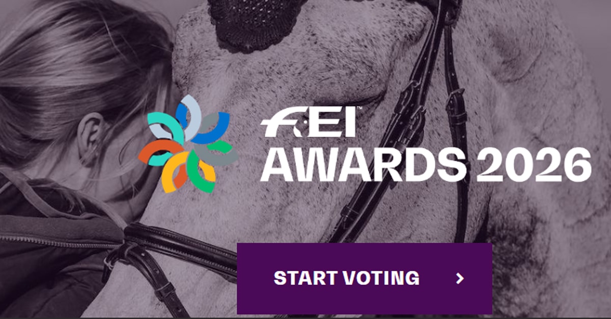 An ad for the FEI awards