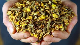 Hands holding horse feed.