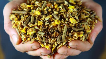 Hands holding horse feed.