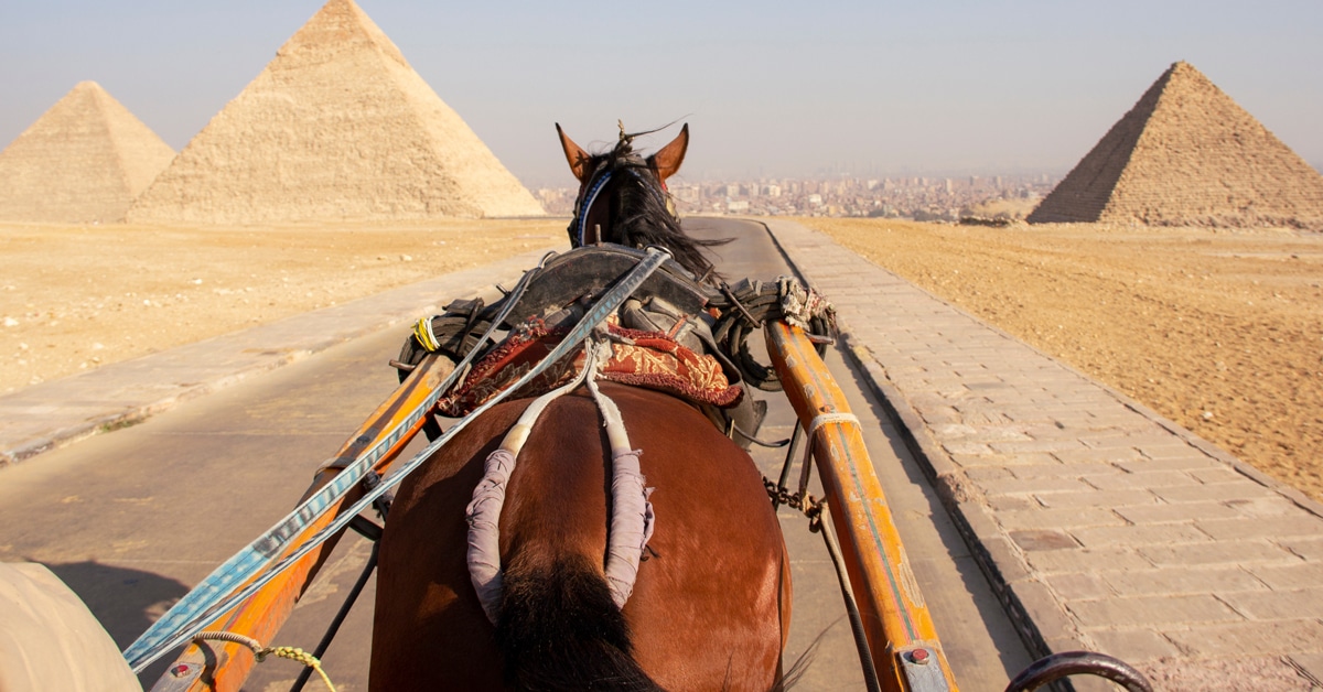 A horse pulling a cart between pyramids in Cairo.