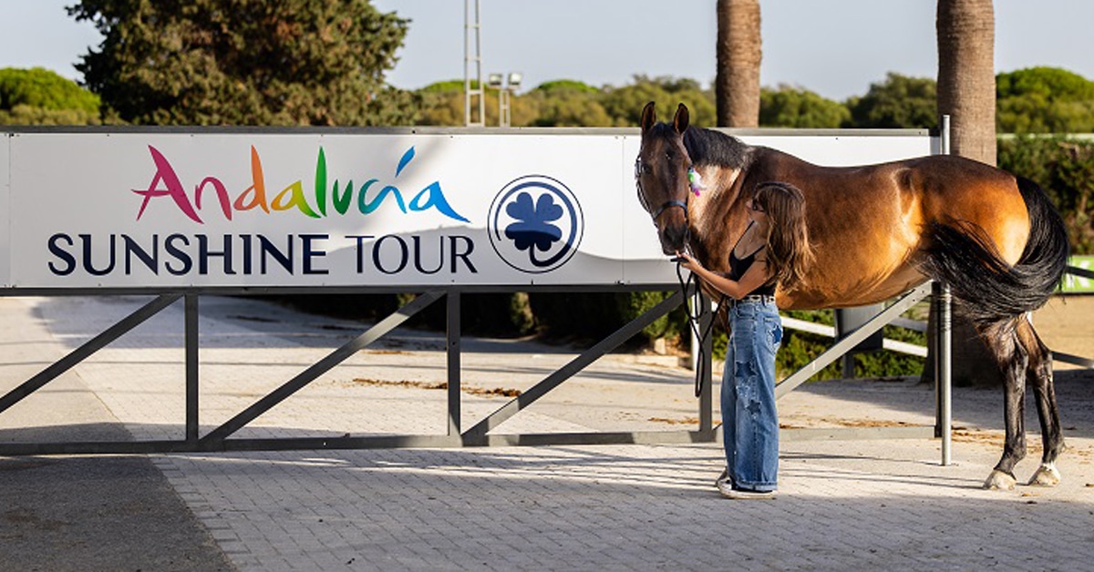 A woman holding a bay horse in front of a Sunshine Tour banner.