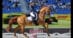 A woman riding a chestnut dressage horse in competition.
