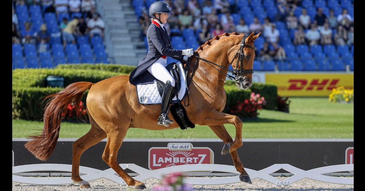 A woman riding a chestnut dressage horse in competition.