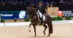 A woman riding a chestnut stallion during a dressage test.