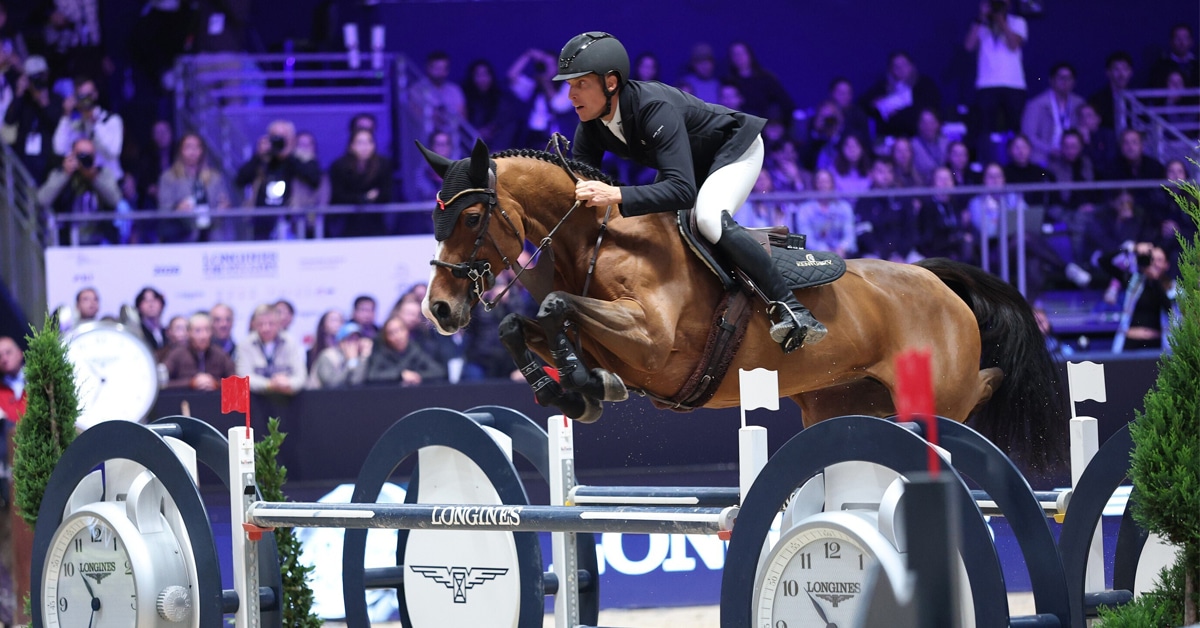 A man jumping a bay horse over a fence in Lyon.